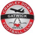 Escudo del Crawley Down Gatwick