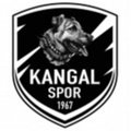 Escudo del Kangal Termikspor
