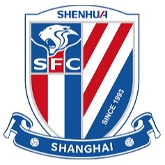 Shanghai Shenhua Reserves