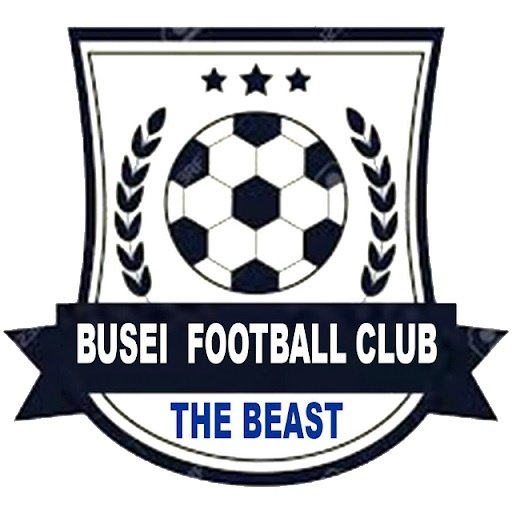 Escudo del Busei