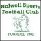 Escudo Holwell Sports