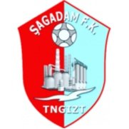 Club crest