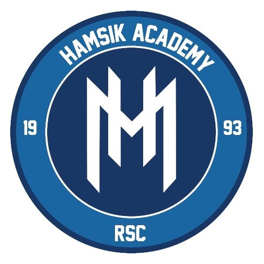 Hamsik Academy