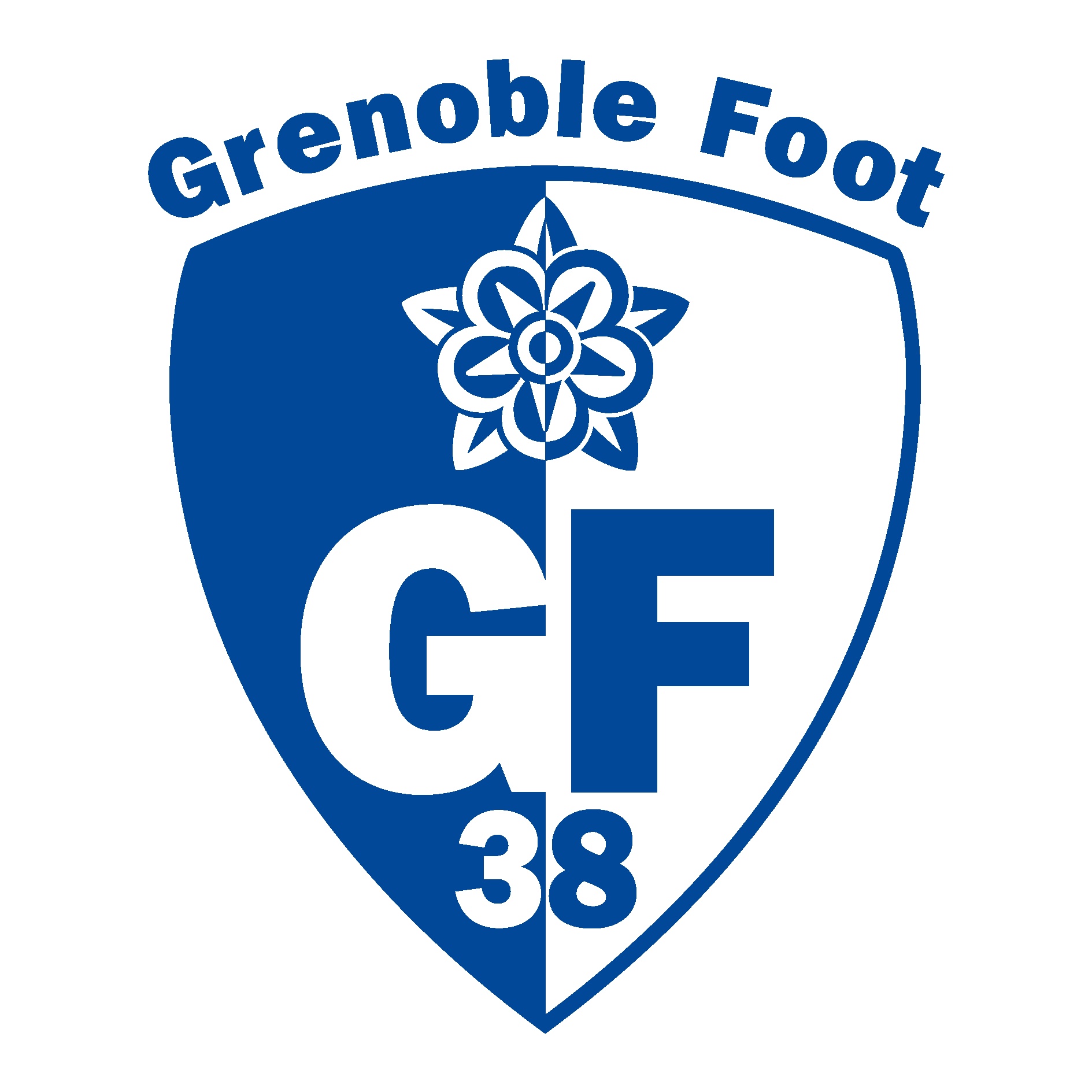 Grenoble Foot