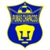 Club Pumas