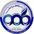 Esteghlal Zeydon