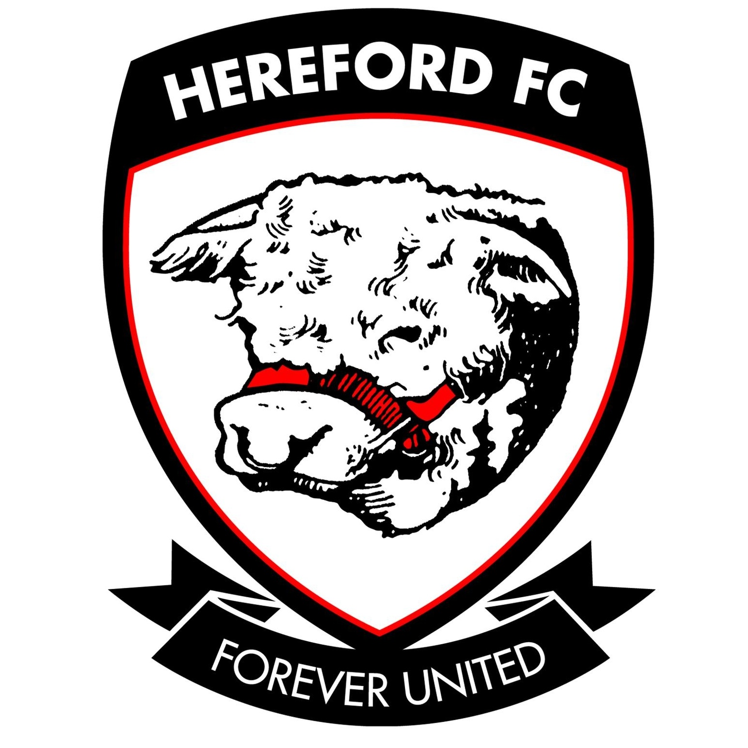 Hereford WFC