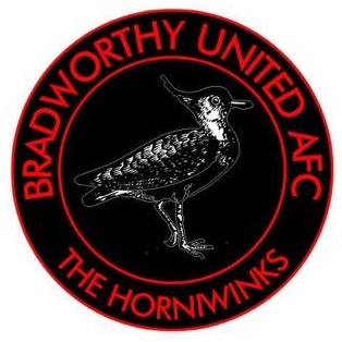 Bradworthy WFC