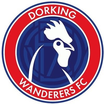 Dorking Wanderers Ladies