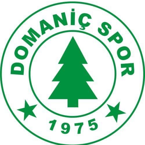 Domaniçspor