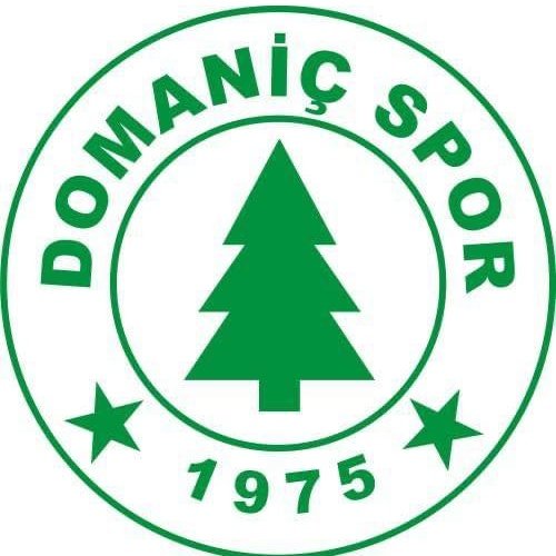 Domaniçspor