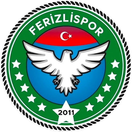 Ferizli Spor 2011