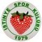 Istinye SK