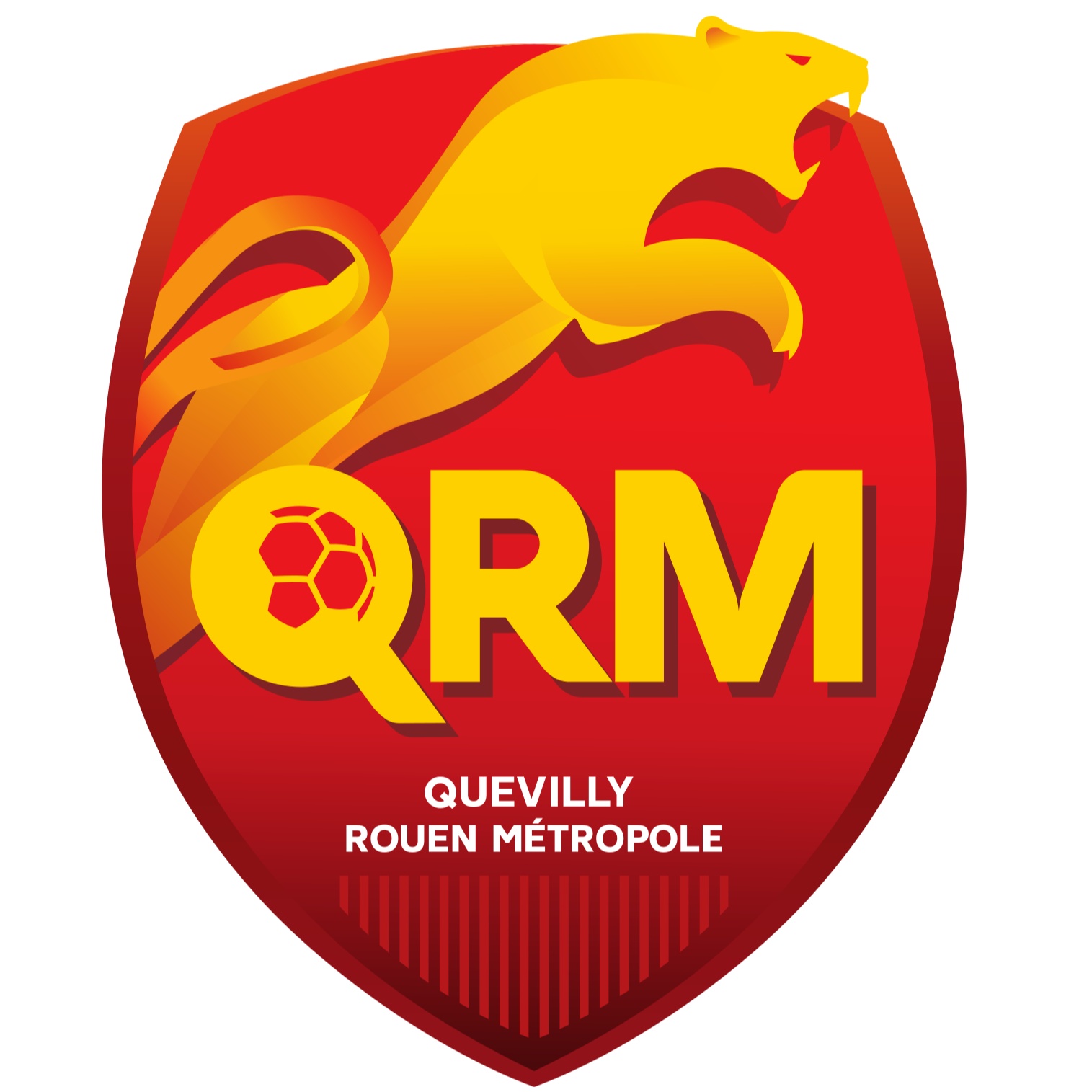 QRM Fem