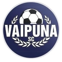 Vaipuna