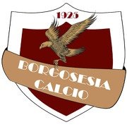 Borgosesia Academy