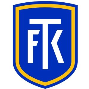 Teplice Academy