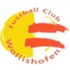 FC Wollishofen
