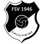 FSV Saulheim Academy