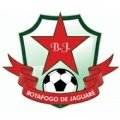 Escudo del Botafogo ES