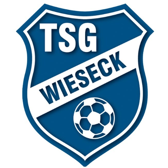 TSG Wieseck Sub 17