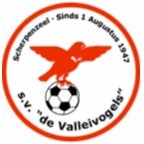 Valleivogels Academy