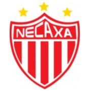 Necaxa Academy