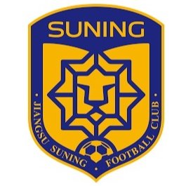 Jiangsu Suning Fem