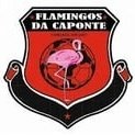 Flamingos da Caponte