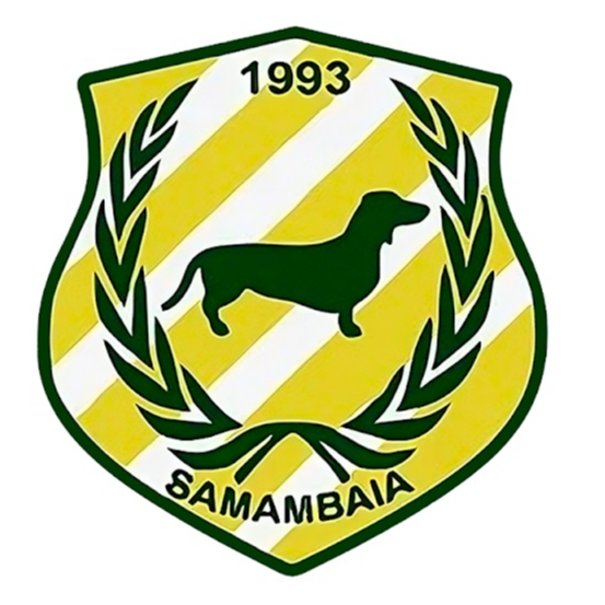 Samambaia Sub 20