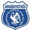 TSE Arabayatagi Academy