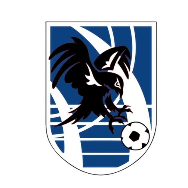 Fuenlabrada Falcons