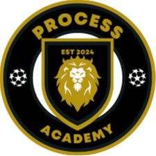 Process Academy