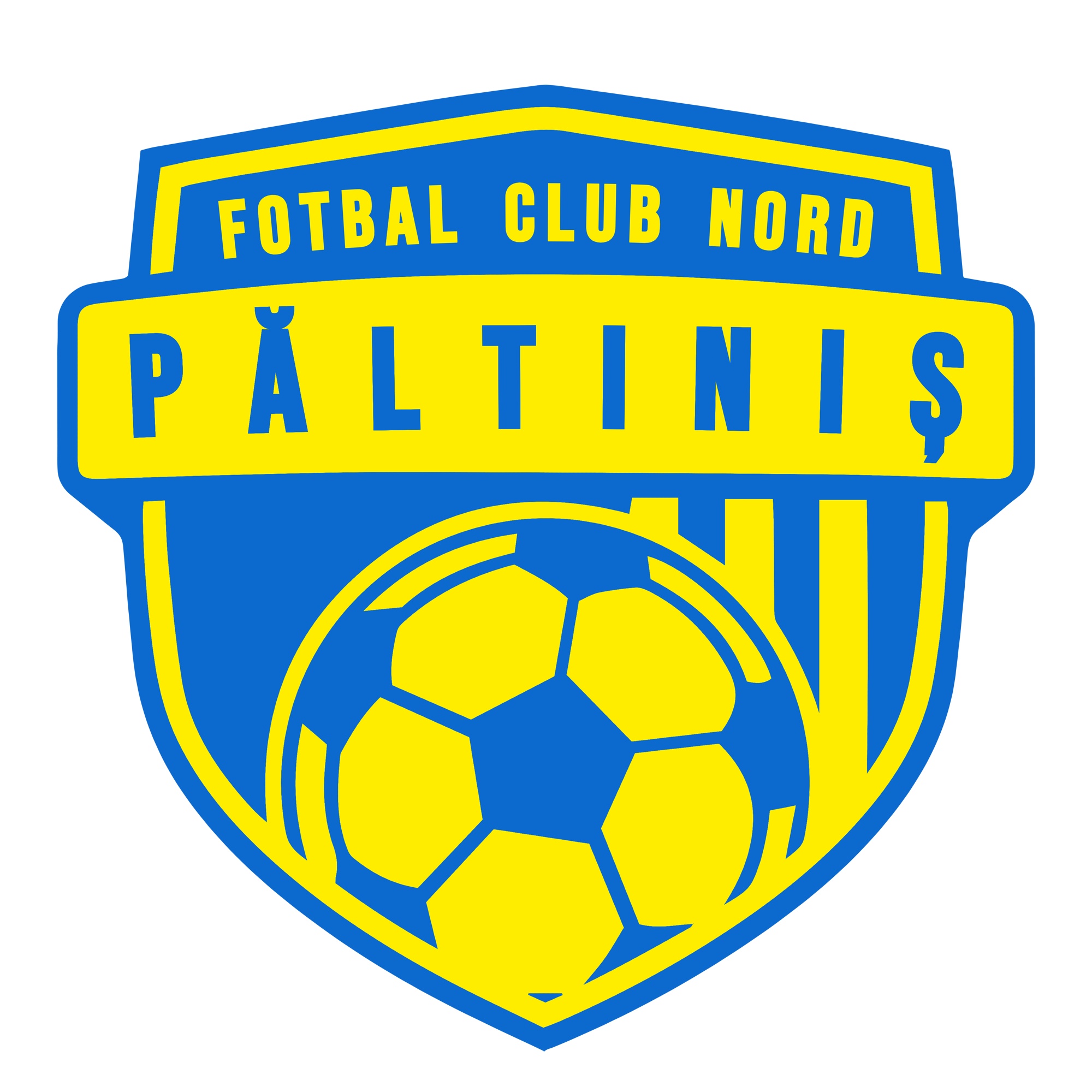 Nord Paltinis