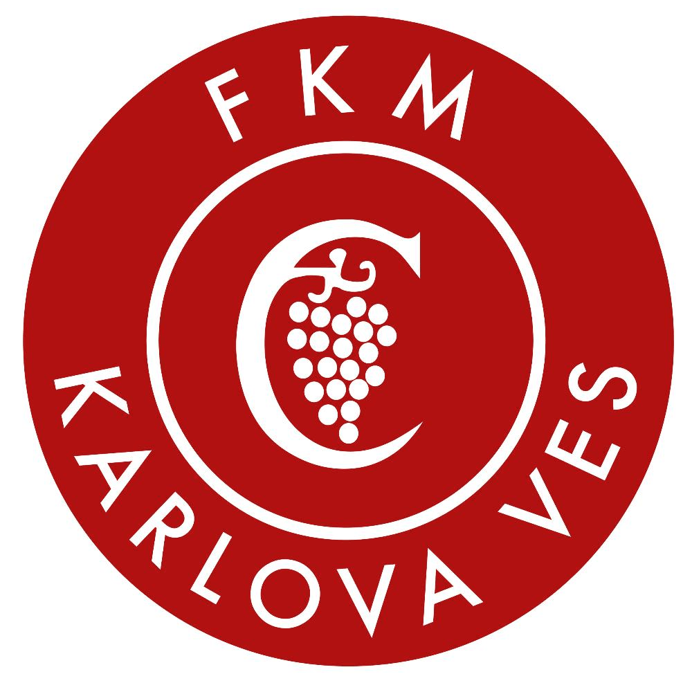 Karlova Ves