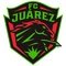 Club crest