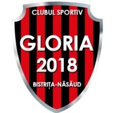 Gloria Bistrita W