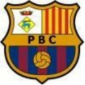 PB Cervello B