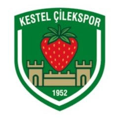Kestel Cilekspor