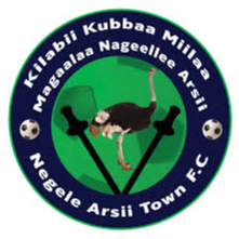 Negele Arsi Ketema
