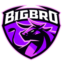 BIGBRO