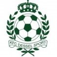 Dessel Sport Academy