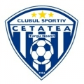 Cetatea Târgu Neamţ