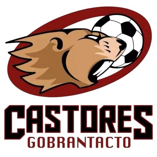 Castores Gobrantacto