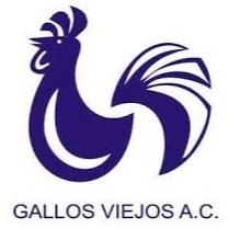 Gallos Viejos