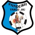 Pandurii Târgu Jiu II