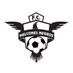 Halcones Negros
