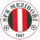 SFK Mezibori Academy