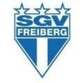 Escudo del Freiberg