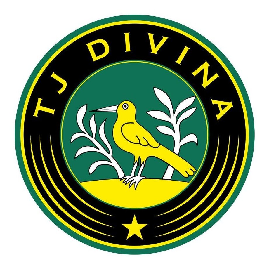 TJ Divina